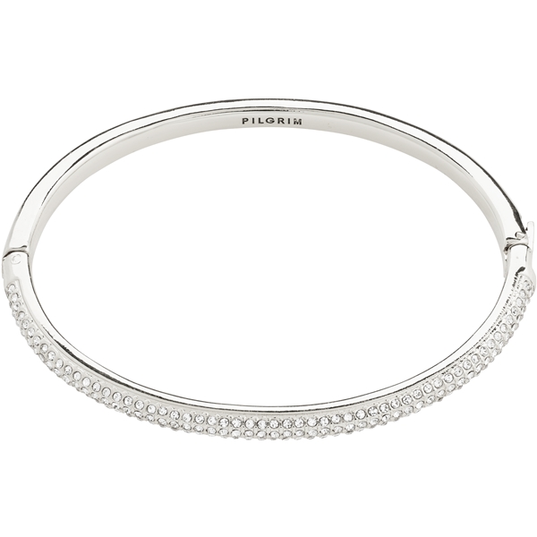 11243-6002 FOCUS Bangle (Picture 1 of 4)