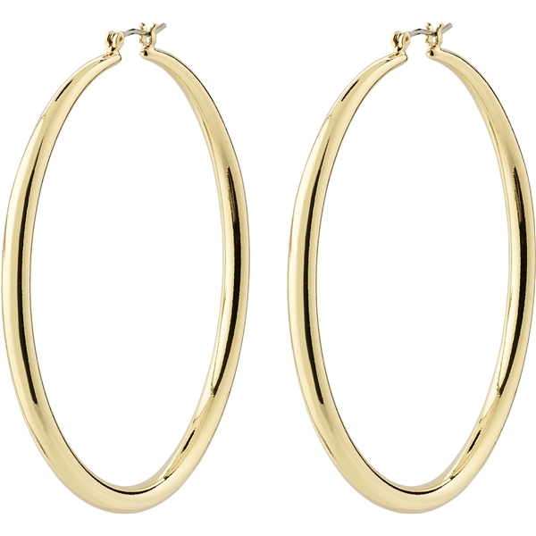 28243-2013 PRIYA Large Hoop Earrings (Picture 1 of 4)