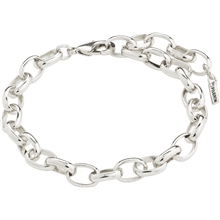 40243-6042 CHARM Bracelet Silver Plated