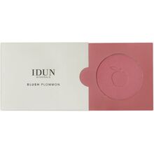 IDUN Blush 5 gram No. 015